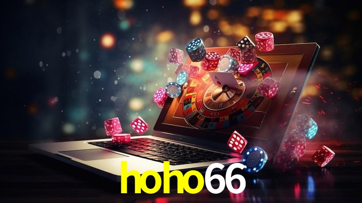 Programa VIP hoho66