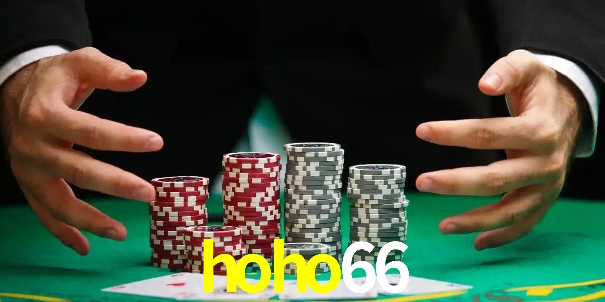 Promoção Relâmpago hoho66